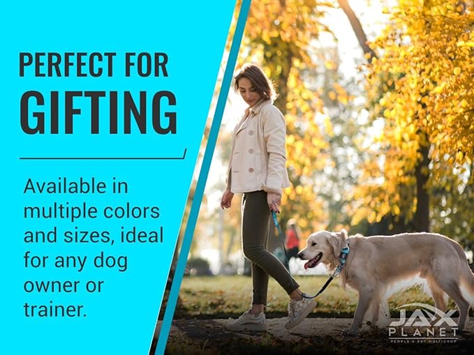 Orange Martingale Collar for Dogs - Heavy Duty Nylon Pet Collars for Escape-Free, No Pull Training & Walking with Alloy Metal Release Buckle & Reflective D Ring, One Time Adjustment, Safe & Secure, L