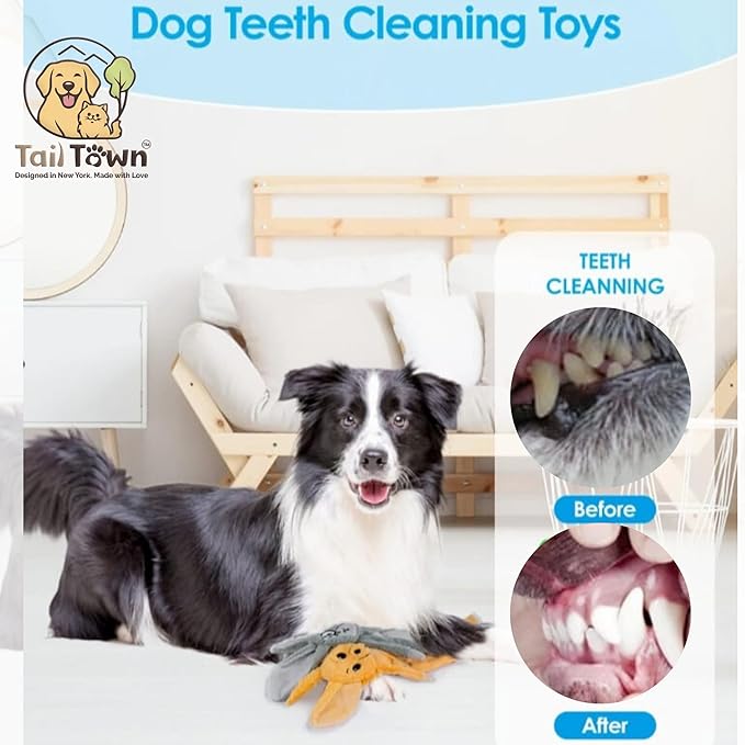 Fennec Fox Dog Toy – Squeaky & Crinkle Plush – Durable No Stuffing Chew Toy for Small Medium Large Dogs Puppies & Seniors – Interactive Safe Soft Toy for Tug Fetch Play – Tail Town