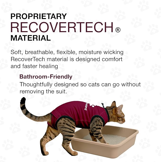 Bellyguard Cat Recovery Suit Female and Male, Comfy Onesie After Surgery, Kitten Clothes for Post-Op Care, Neuter and Spay Healing Outfits for Cats Only – Comfortable Kitten and Adult Cone Alternative