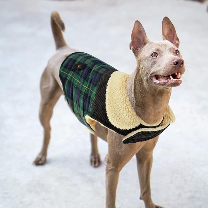 Winter Coat for Small and Medium Dogs, Puppy Plaid Jacket, Cotton Coat for Cold Weather, Windproof Warm Dog Garments, Pet Thickened Outfits Indoor Outdoor, Green M