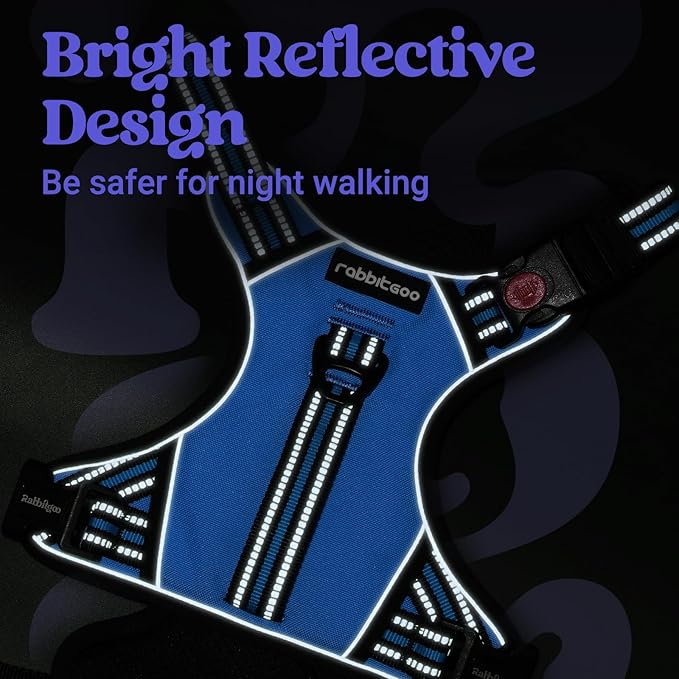 rabbitgoo Dog Harness for Large Dogs, No Pull Pet Harness with Soft Padded Handle, Adjustable Reflective Vest with 3 Buckles, Easy Walking Harness with 2 Leash Clips, Light Blue, L