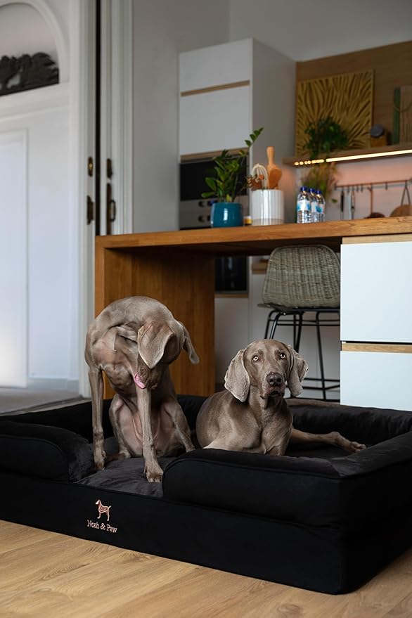 NOAH & PAW Giant Dog Bed XXL, 55x45x11 Inch, Orthopedic Dog Beds, Eggshell Memory Foam Infused with Cooling Gel, Inner Cover, Waterproof, Machine Washable (Denim Sofa Collection)