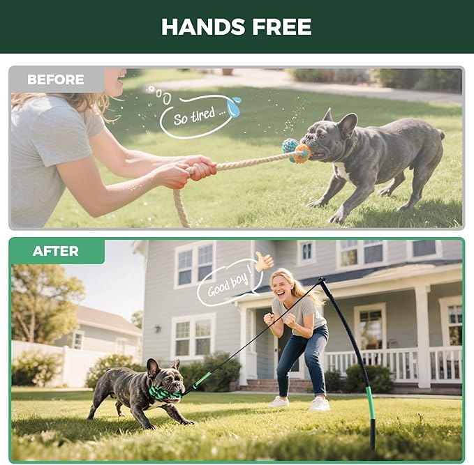 FXW TugPal Outdoor Tug of War Toy for Dog,Interactive Exercise Game with Fiberglass Rod for Yard,39 inch for Small Dogs up to 20 lbs| Rustproof & Hands-Free Play,│Patent Pending