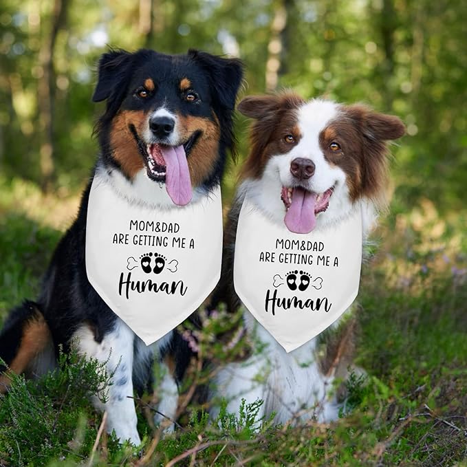 2 Pack Mom&Dad are Getting me a Human Dog Pregnancy Announcement Bandana Pet Accessories for Dog Lovers Gender Reveal Photo Prop Pet Scarf Coming Soon Baby Announcement