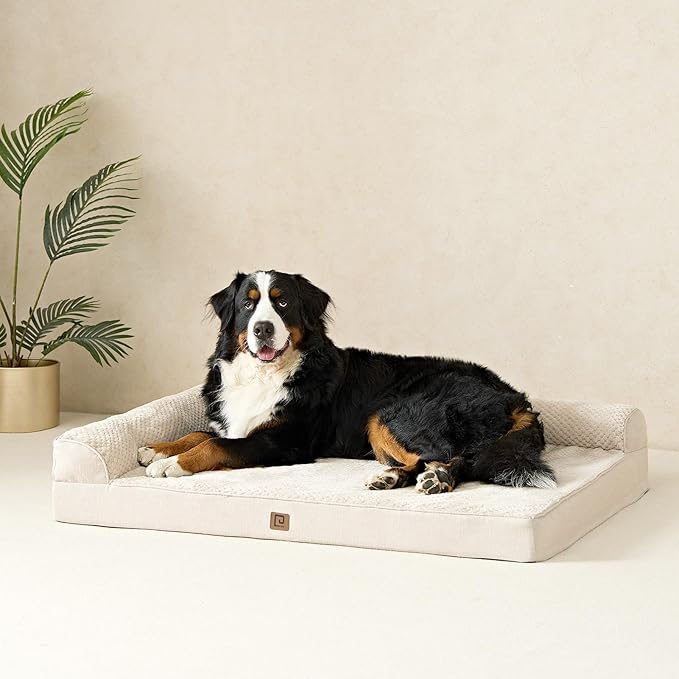 EHEYCIGA Memory Foam Dog Bed Large Sized Dogs, Pet Bed for Large Dog for Crate with Waterproof Liner, Pet Couch Bed Orthopedic with Washable Removable Cover, 35x23x6 Inches, Beige