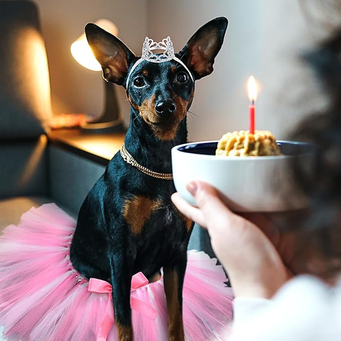 2 Pcs Dog Crown Headband Dog Tutu Dress Set Crystal Rhinestone Tiara Crown Tutu Skirt Pet Dress Costume for Puppy Birthday Party Wedding Photo Prop Costume(X-Large,Rose Red, White)
