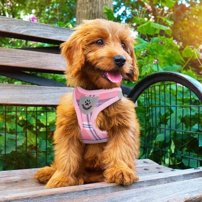 PUPTECK Adjustable Dog Harness Collar and Leash Set Step in No Pull Pet Harness for Small Medium Dogs Puppy and Cats Outdoor Walking Running, Soft Mesh Padded Reflective Vest Harnesses, Pink XXS