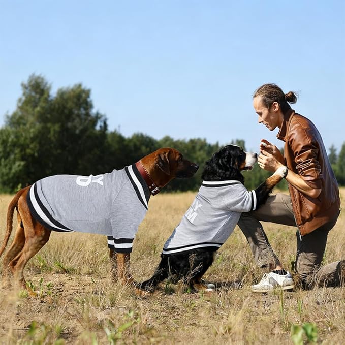 GreenJoy Cute Dog Sweater - Stretchy Dog Pullover Sweatshirt,Soft and Warm Winter Clothes for Boy & Girl Dogs,Suitable for Puppies & Adult Dogs (Light Grey (I Love My Dad), X-Small)