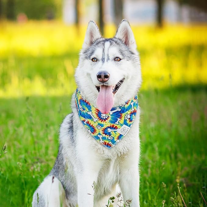 E-Clover Dog Bandanas Boy & Matching Scrunchie Set Girl Cute Rainbow Dog Scarf Bibs Pet Bandana with Bow Tie for Medium Large Dogs Owner Mom Pride