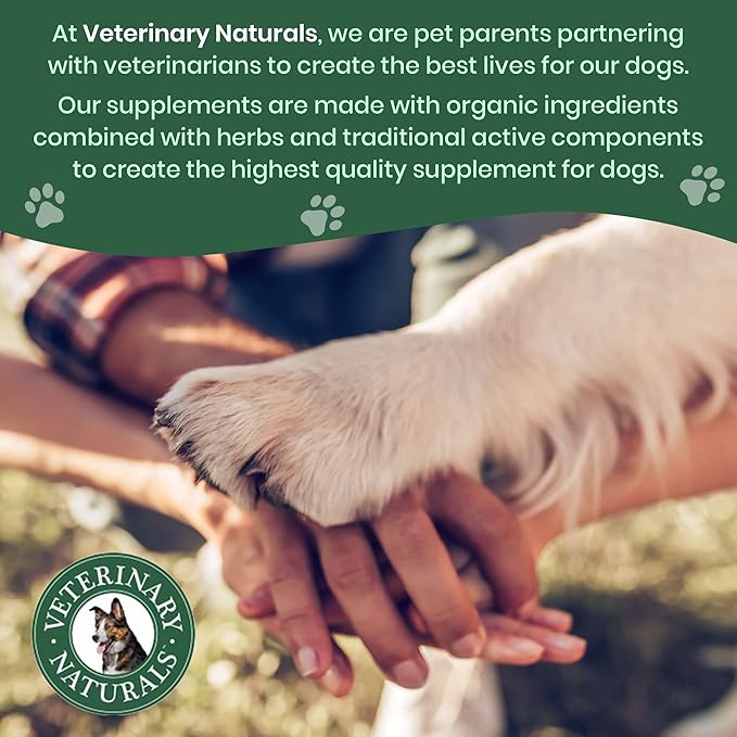 Veterinary Naturals Hemp & HIPS Joint Supplement for Dogs/Supports Relief from Hip and Joint Pain in Large, Aging Dogs (Senior Large Breed, Chicken)