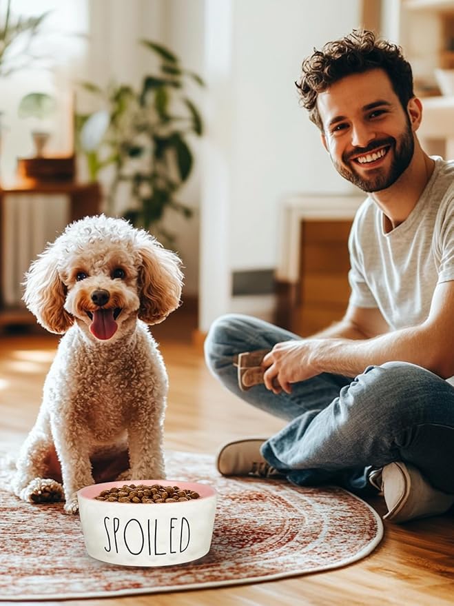 27OZ Ceramic Dog Bowl - 6 Inch Small Food Water Bowl, Heavy Duty Non-Slip Dog Dish for Medium Dogs, Food Grade Porcelain Pet Feeder Bowls, Microwave & Dishwasher Safe, Pink