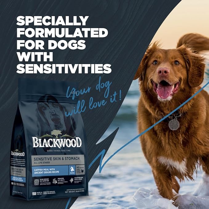 Blackwood Sensitive Skin & Stomach Dry Dog Food, Catfish Meal & Brown Rice with Ancient Grains, 24 Pound Bag with Prebiotics & Probiotics to Promote Gut Health