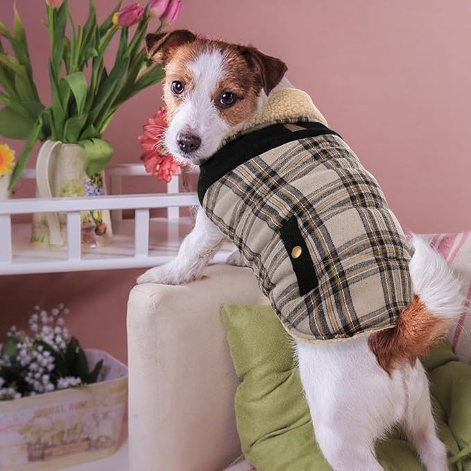 Dog Winter Jacket for Extra-Large Dogs, Pet Windproof Cold Weather Coats, Pets Clothes Snow Jacket, Golden Retriever, Labrador Retriever, Husky, Beige XL