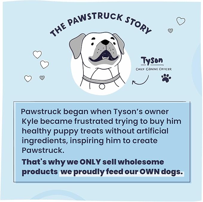 Pawstruck Premium Beef Jerky Dog Treat Chews, 4"-6" Strips – Hip & Joint Health, Naturally Rich in Glucosamine & Chondroitin, No Added Preservatives – 15 Count