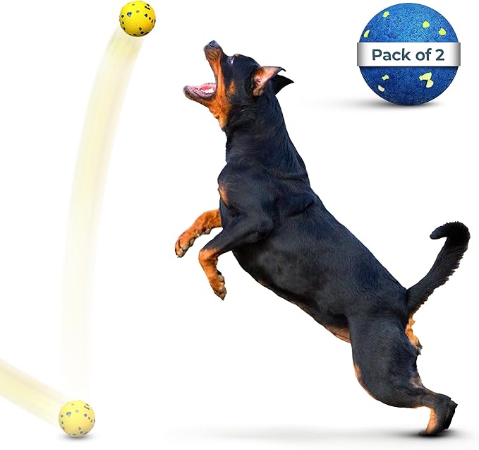 MISHMASH Vision Dog Ball Made with Premium Bite-Proof ETPU, Aggressive Chewers Waterproof Bouncy Interactive Dog Toy, Durable Tennis Ball for Medium to Large Breeds/Dogs/Puppies, (2 Pack)