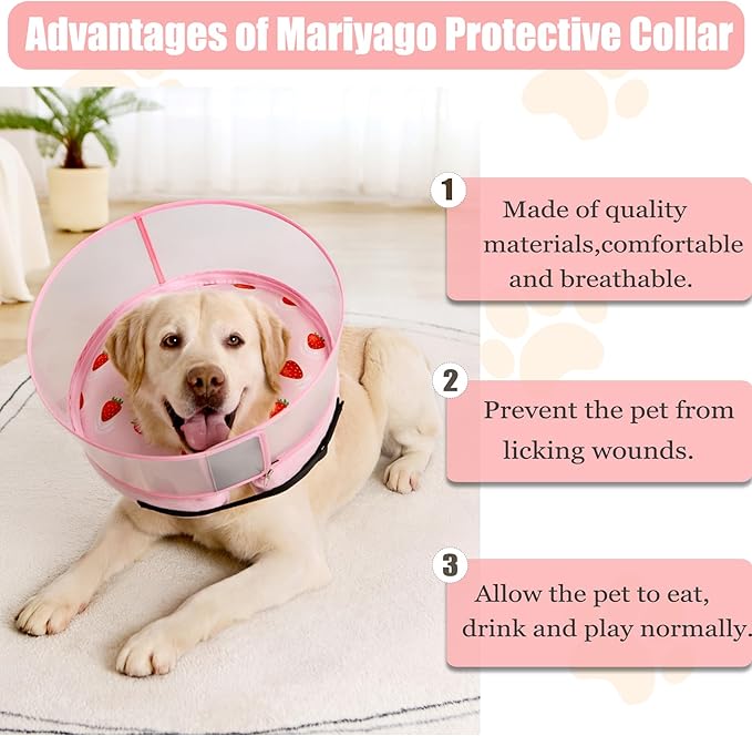 Inflatable Dog Cone Collar for Large Medium Small Dogs, Soft Dog Donut Collar Adjustable Recovery Cone for Pets After Surgery, Extra Enhanced Anti-Licking Guard Shield (Strawberry Print, Large)