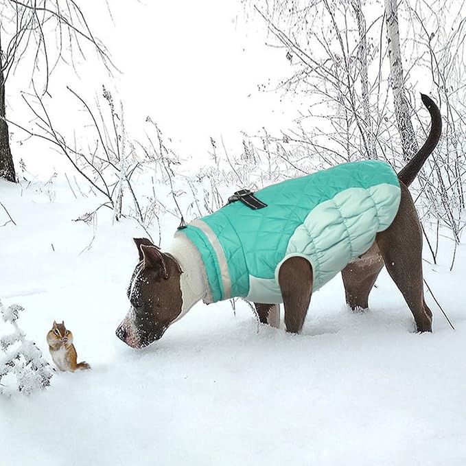 Lelepet Dog Coat Warm Dog Winter Coat Waterproof Dogs Jacket with Harness Built in Reflective Pet Fleece Vest Zip-Up Cold Weather Coats for Large Dogs Turtleneck & Windproof Pitbull Mint Green 2XL