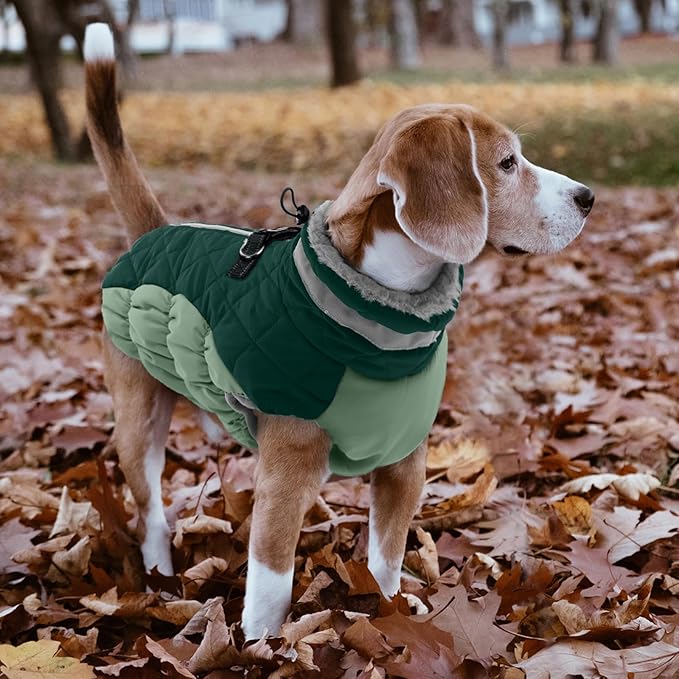 Lelepet Warm Dog Winter Coat Dog Coats for Small Dogs Waterproof Dogs Jacket with Harness Built in Reflective Cold Weather Coats Windproof Zip-Up Winter Fleece Vest Snowsuit Yorkie Teal Green S