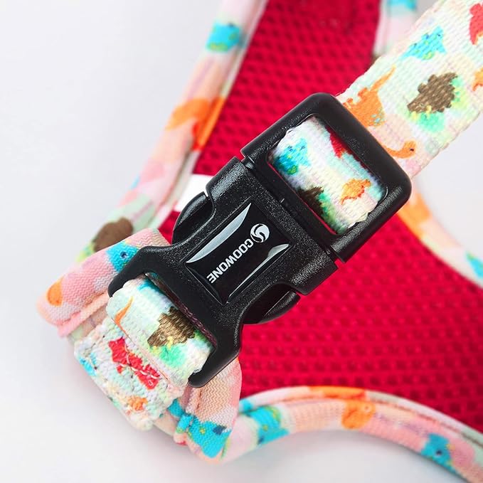 Dog Harness and Leash Set, Adjustable Dog Harness, Dog Leash, No Pull No Choke Puppy Harnesses for Walking Training for Small Medium Pet