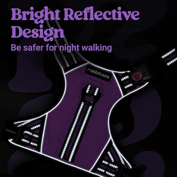 rabbitgoo Dog Harness Medium Sized, No Pull Pet Harness with Soft Padded Handle, Adjustable Reflective Vest with 3 Buckles, Easy Walking Harness with 2 Leash Clips, Purple, XL