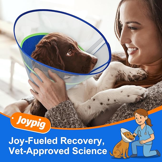 Dog Cone Collar with Soft Padding to Stop Licking, Elizabeth Recovery Collar After Surgery for Large Medium Small Dogs, Comfortable Pet Head Cone Alternative for Neutering Spay Injury(M)