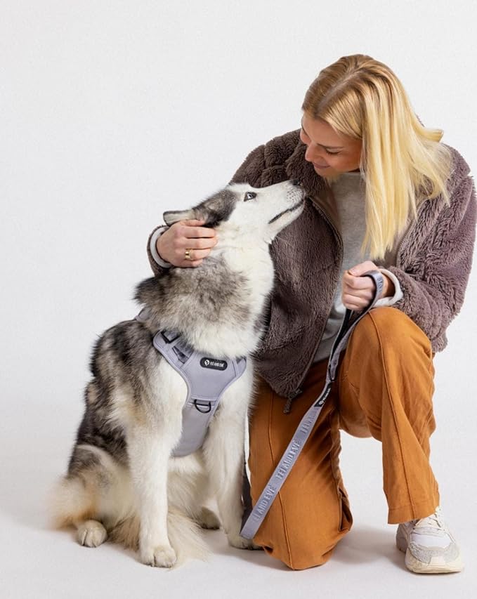 2025 New Edition, Fei & Eve MagEase Dog Harness - 3-Second Magnetic Buckles | 3-Point No-Pull Control | Heavy-Duty 900D Nylon | Dual Safety Handles | Breathable Mesh | Adjustable Fit | Small, Gray