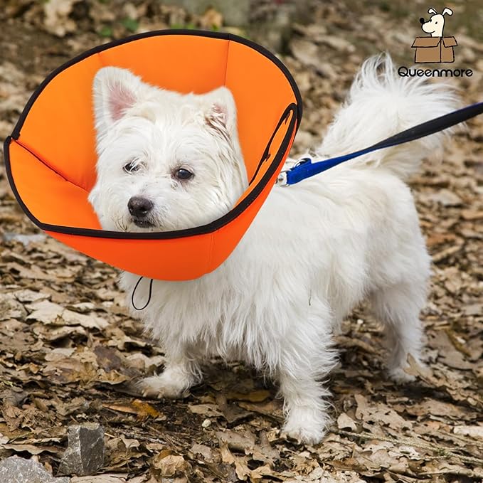 Queenmore Soft Cone for Dogs After Surgery, Dog Cones for Large Dogs to Stop Licking, Soft Dog Cone, Elizabethan Collar for Pets, Alternative Pet Recovery Collar for Wound Healing, Orange L