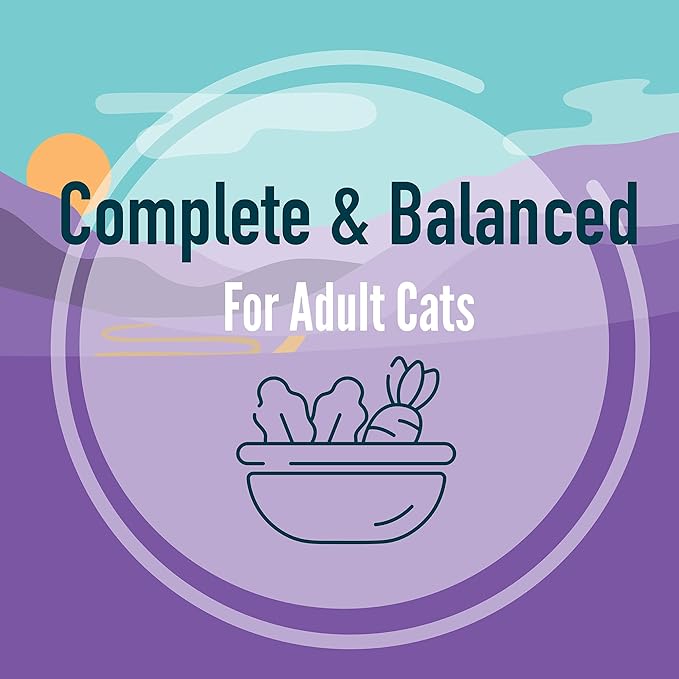 A Strong Heart Split Cup Wet Cat Food, Salmon Entree - 2.6 oz Split Cups, 20 Servings (Pack of 10), Made in The USA with Real Salmon & Poultry