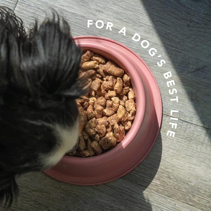 Flourish Pets Freeze Dried Raw Pet Treats for Dogs (Beef Topper, Regular)