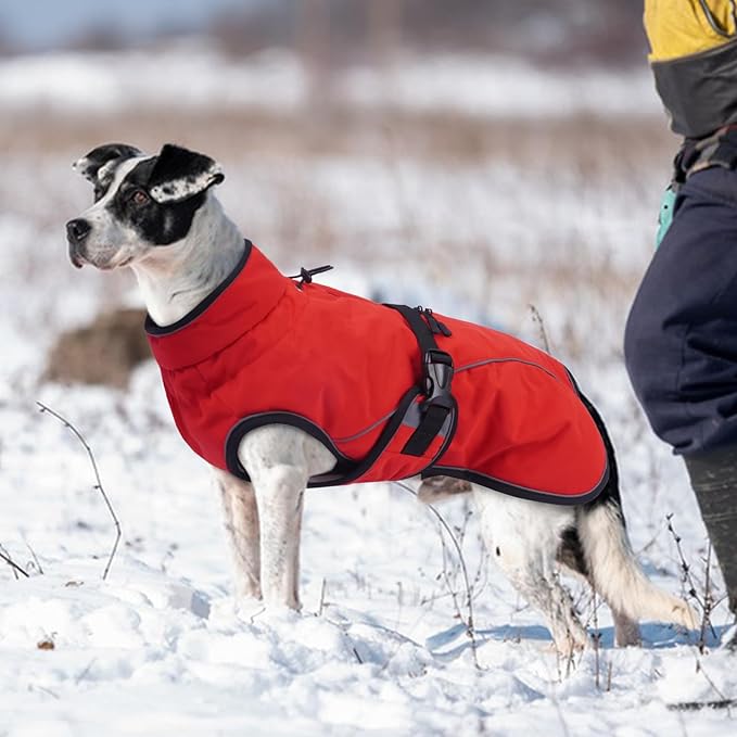 Warm Dog Coat for Winter,Waterproof Jacket with Zipper,Detachable Dog Coat with Adjustable Buckle,Comfortable Jacket for Dogs in Cold and Windy Days.XL Red