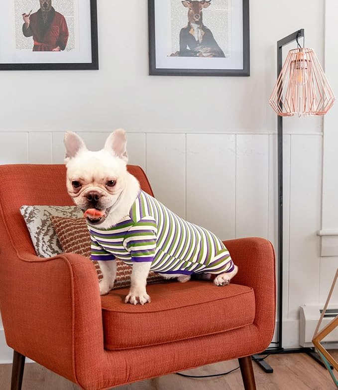 TONY HOBY Dog Pajamas, Knitted Dog Jumpsuit Shirt in Cold Weather, Dogs Surgical Recovery Suit for Small Medium Dogs (Purple&Green, Boy, M)