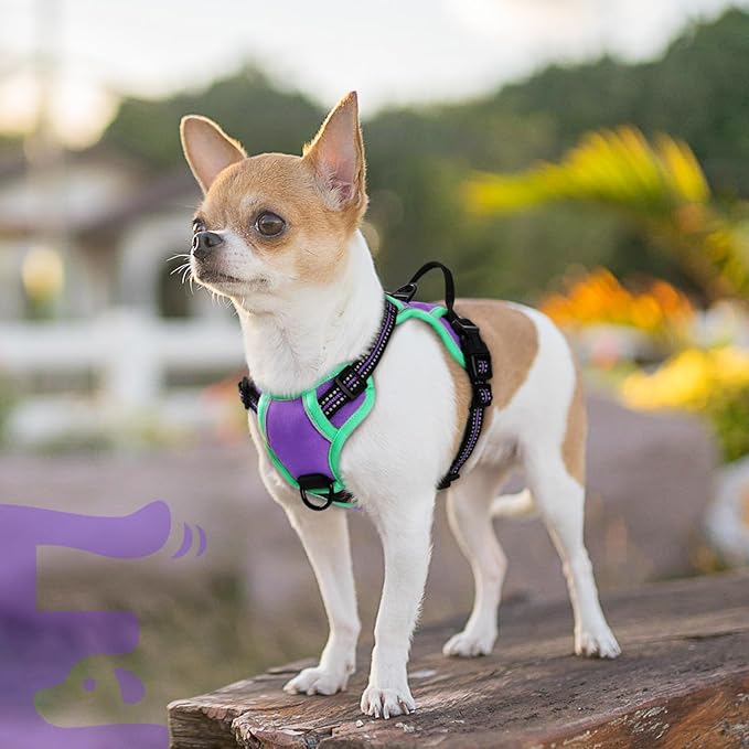 Eagloo Small Dog Harness No Pull, Service Vest with Reflective Strips and Control Handle, Adjustable and Comfortable for Walking, No Choke Pet Harness with 2 Metal Rings, Purple & Green, XS