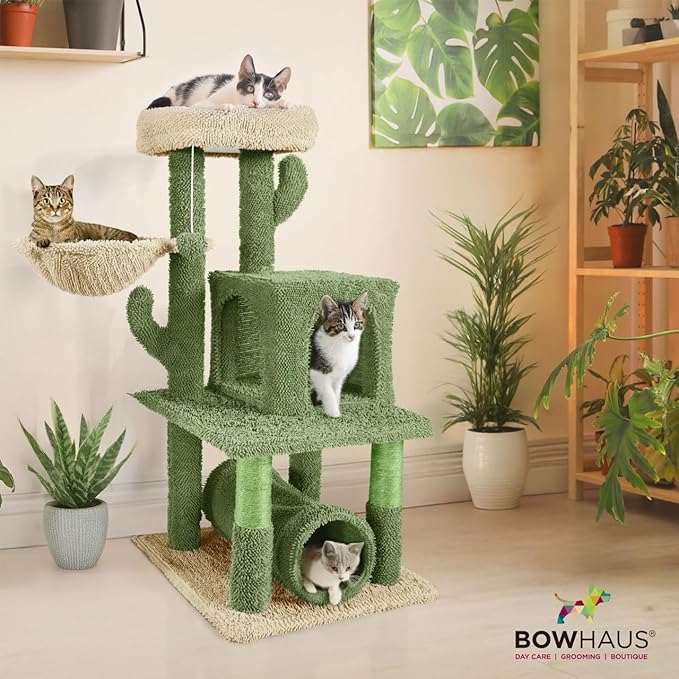 CAPHAUS Cactus Cat Tower for Indoor Cats, Cute 40-Inch Small Cactus Cat Tree w/Widened Perch for Large Cats & Kittens, Multi-Level Cat Activity Tree w/Scratching Post, Tunnel, Basket, Cat Cave Condo