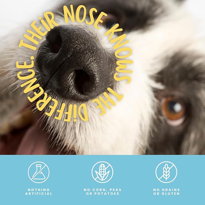 hotspot pets Dehydrated Lamb Lung Dog Treats - 2 Pound Big Bag, All-Natural, Made in USA - High Protein, Low Fat - Slow Roasted Oven Baked A Healthy Rawhide Alternative for All Dogs