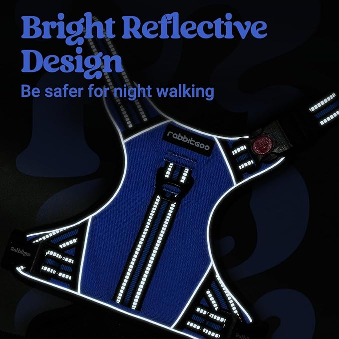 rabbitgoo Dog Harness Medium Sized, No Pull Pet Harness with Soft Padded Handle, Adjustable Reflective Vest with 3 Buckles, Easy Walking Harness with 2 Leash Clips, Blue, XL