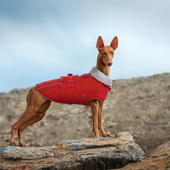Lelepet Warm Dog Coat - Reflective Waterproof Fleece Vest with Adjustable Buckle Hook & Loop, Windproof Winter Jacket Dog Coats for Small Medium Large Dogs, Red, M