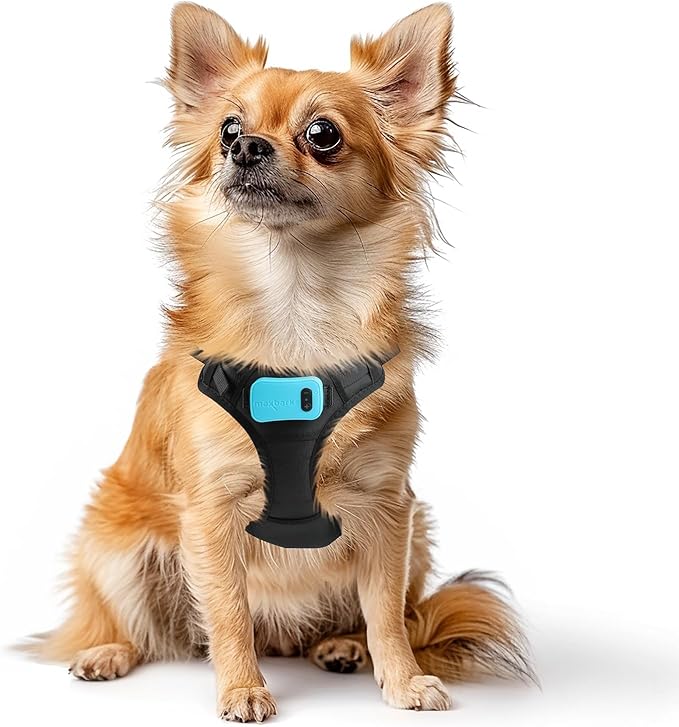 Bark Control Training Vest for Small Dogs - Rechargeable No Barking Device for Dogs - Bark Deterrent with 5 Sensitivity Levels, Adjustable Straps, D-Ring - No False Alarms or Throat Prongs