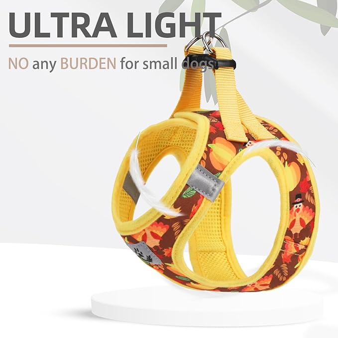 PUPTECK Adjustable Dog Harness Collar and Leash Set Step in No Pull Pet Harness for Small Medium Dogs Puppy and Cats Outdoor Walking Running, Soft Mesh Padded Reflective Vest Thanksgiving Harnesses