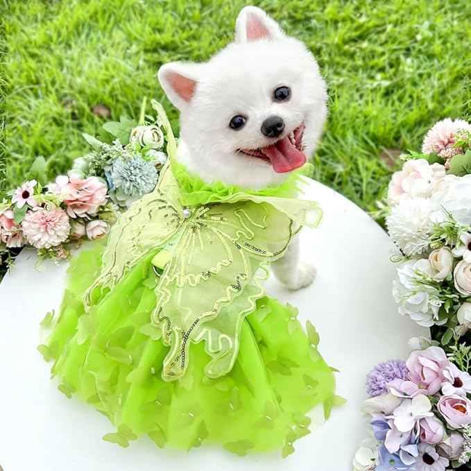 Rainbow Butterfly Dog Dresses for Small Dog Girl Puppy Lace Tutu Princess Dress Cat Outfit Pet Butterfly Costume for Kitten Chihuahua Yorkie Pomeranian (Green, Medium)