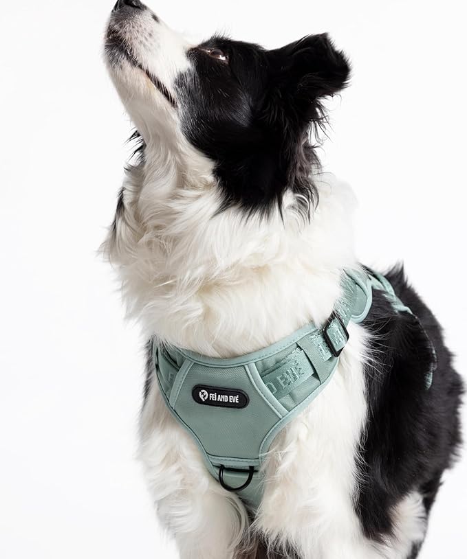 2025 New Edition, Fei & Eve Classic Dog Harness - Quick-Release Buckles | 3-Point No-Pull Control | Heavy-Duty 900D Nylon | Dual Safety Handles | Breathable Mesh | Adjustable Fit | Large,Green