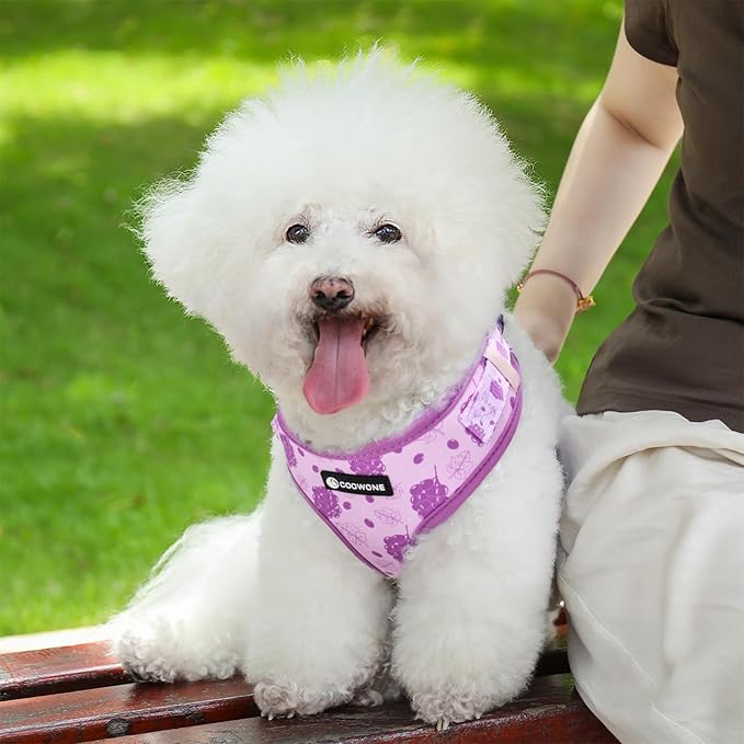 Dog Harness and Leash Set, Adjustable Dog Harness, Dog Leash, No Pull No Choke Puppy Harnesses for Walking Training for Small Medium Pet (Wines, L(Chest 18.5-27.1", Neck 14.5-20.1"))