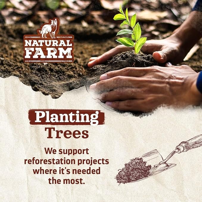 Natural Farm Odor-Free Braided Bully Sticks (4-5 Inch, 10 Pack) - 100% Grass-Fed Beef, Grain-Free, Low Fat & Fully Digestible Best Dental Treats, Safest Long Lasting Pizzle Chews to Keep Your Dog Busy