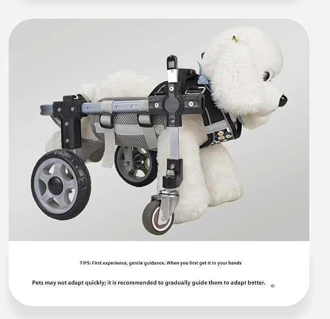 Dog Wheelchair for Back Legs,Adjustable Pets Cart Mobility Aids for Little Pets,Chest & Thigh Support,Suitable Small Medium Dogs (Four Rounds, S)