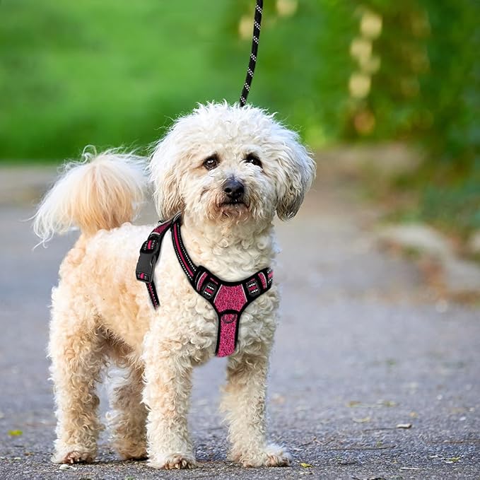 BARKBAY No Pull Dog Harness Large Reflective Dog Harness with Front Clip and Easy Control Handle for Walking Training Running with ID tag Pocket(Pink/Black,XS)