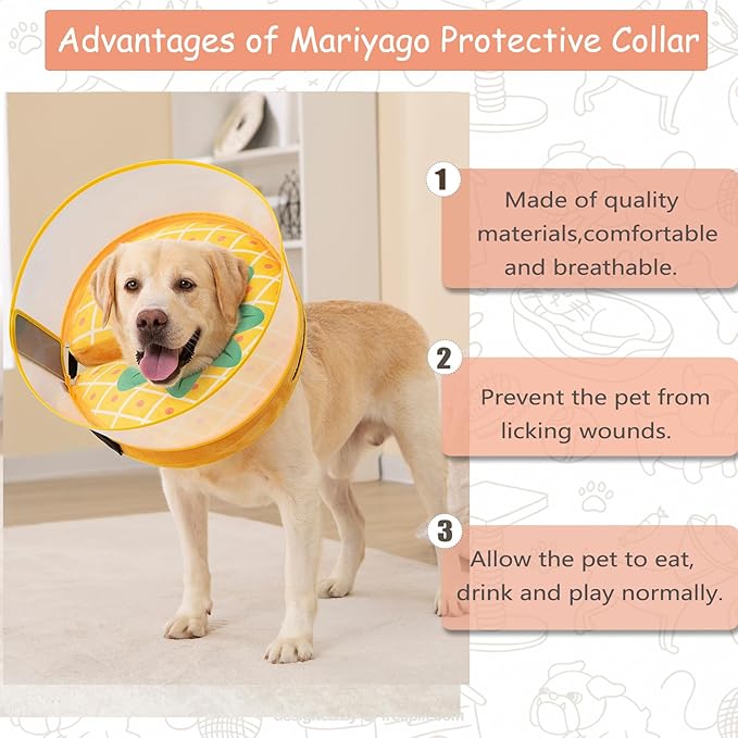 Inflatable Dog Cone Collar for Large Medium Small Dogs, Soft Dog Donut Collar Adjustable Recovery Cone for Pets After Surgery, Extra Enhanced Anti-Licking Guard Shield (Pineapple, X-Large)