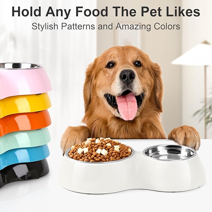 Elevated Dog Bowls Set - Non-Slip Raised Pet Feeder with Medium (10 oz) & Large (20 oz) Stainless Steel Bowls - Includes Durable Resin Stand for Puppies, Adult Dogs & Cats - White