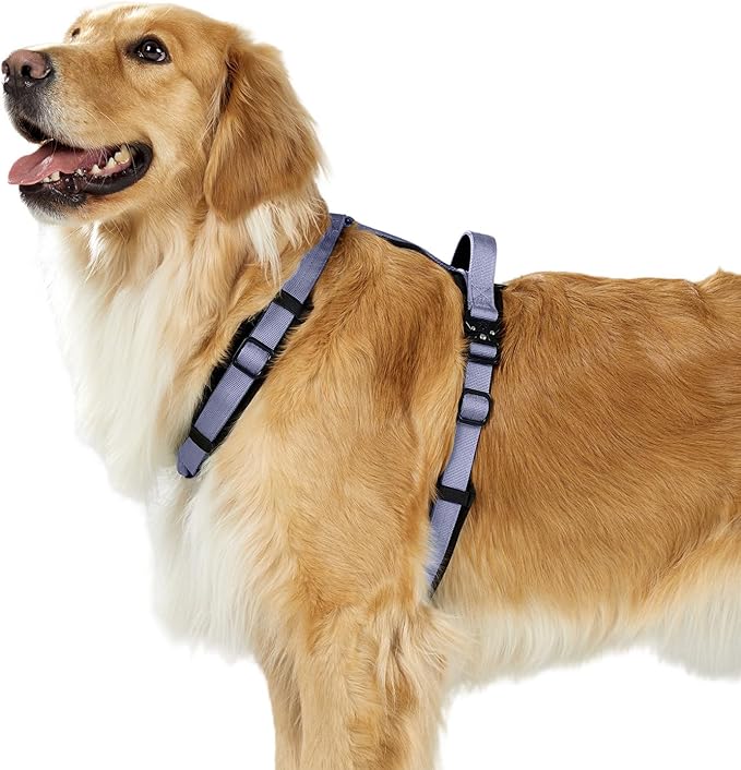 PawsPassion Dog Harness for Small Dogs, No Pull Dog Harness Easy Walk with Metal Hardware, Ergonomic Y-Shaped Design, Soft Padding, Padded Handle, Durable High-Tensile Nylon (Lilac Breeze, S)