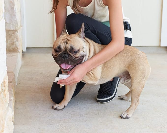 Dog All Purpose + Allergy Pet WiPees™ – 100 Allergy Wipes for Dogs, All Natural Dog Wipes for Paws, Folds & Hot Spots, Daily Pet Wipes for Allergy Relief & Skin Health (Natural, 100ct)