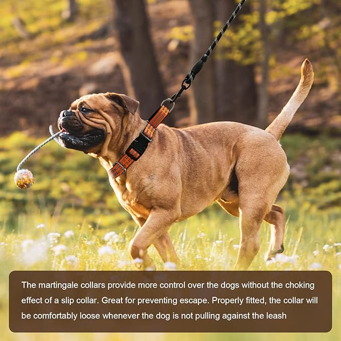 Hikiko Martingale Dog Collars Reflective Nylon Dog Collar with Quick Release Buckle Adjustable Training No Slip Dog Collar (Small, Orange)