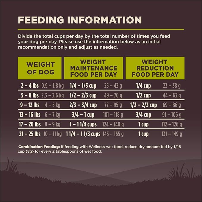 Wellness CORE Grain-Free High-Protein Small Breed Dry Dog Food, Natural Ingredients, Made in USA with Real Meat (Adult, Healthy Weight, 12-Pound Bag)